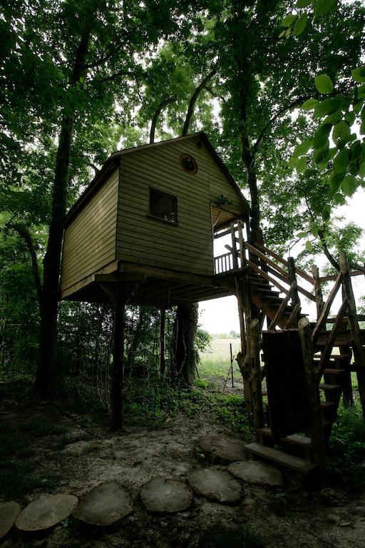La Cabane Aux Secrets - Au Milieu De Nulle Part Outines Номер фото